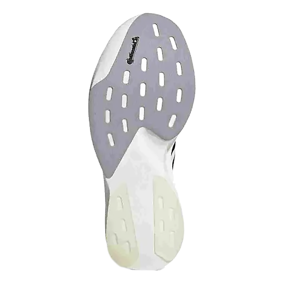 Adidas Adizero Evo SL Woven — Ftwr White - Core Black - Dash Grey — Size B — Width 6.5 — Top View