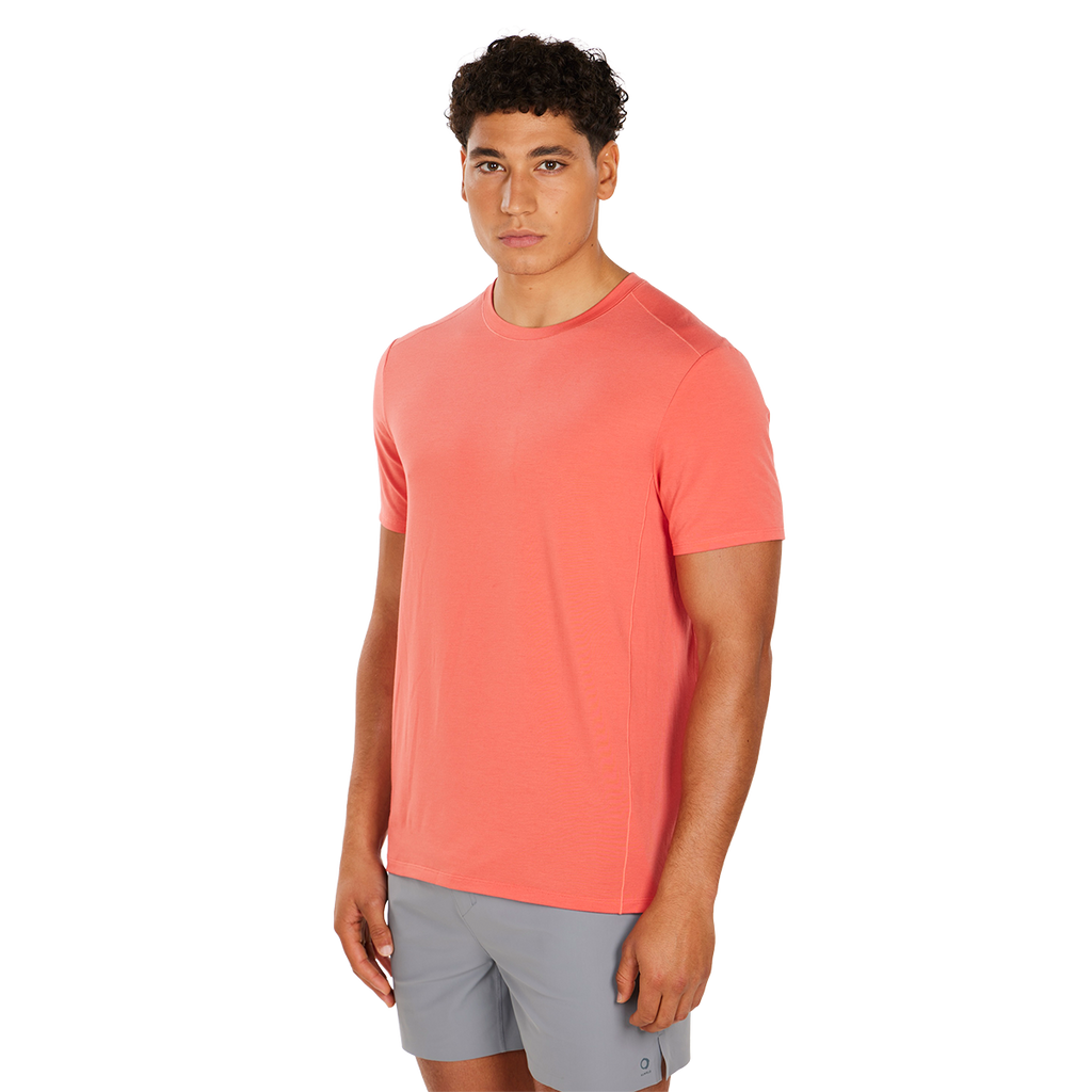 Alwrld ALTRN Tee — Blue Steel — Size Small — Lifestyle View