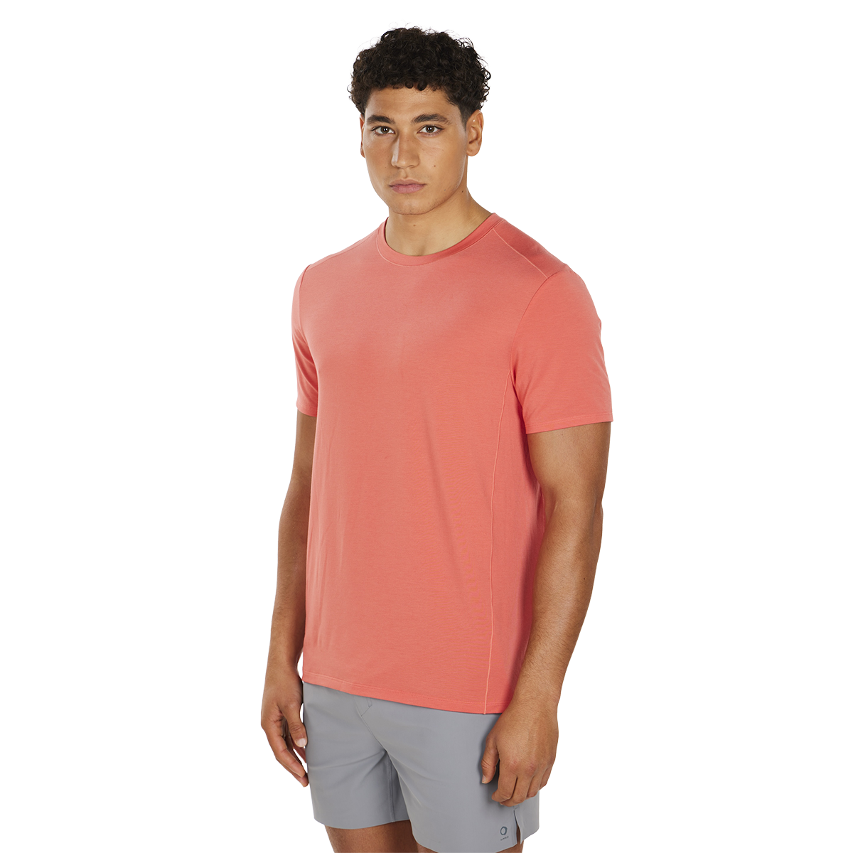 Alwrld ALTRN Tee — Blue Steel — Size Small — Lifestyle View