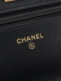 Chanel Pre Owned Mini 2019 Crocodile Embossed Chain Shoulder Bag — Same as shown — Size One Size — Detail View