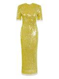 Rachel Gilbert Kaia Sequin Sleeve Dress — Same as shown — Size L — Front View