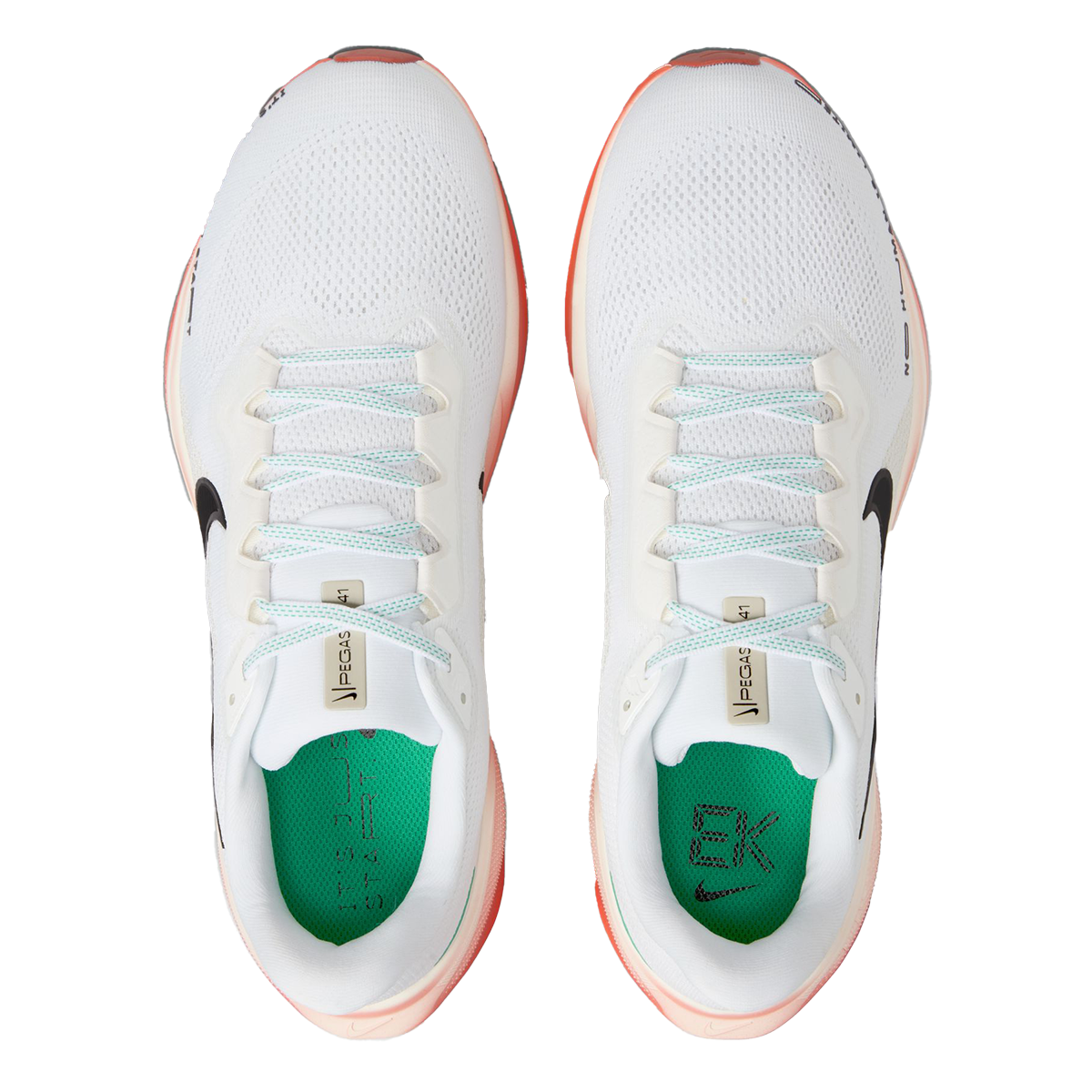 Nike Air Zoom Pegasus 41 EK — White - Black - Pale Ivory - Dragon Red - Stadium Green — Size D — Width 9 — Back View