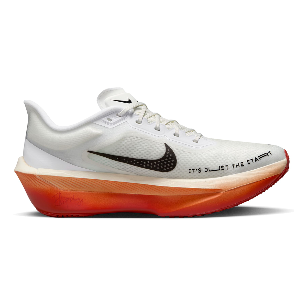 Nike Zoom Fly 6 EK — White - Black - Pale Ivory - Sail - Stadium Green — Size D — Width 9 — Detail View