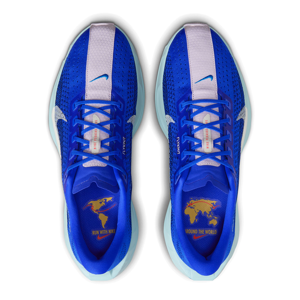 Nike Pegasus Plus CM — Racer Blue - Sail - Blue Void - Doll - Ocean Bliss - Lt Photo Blue — Size D — Width 9 — Back View