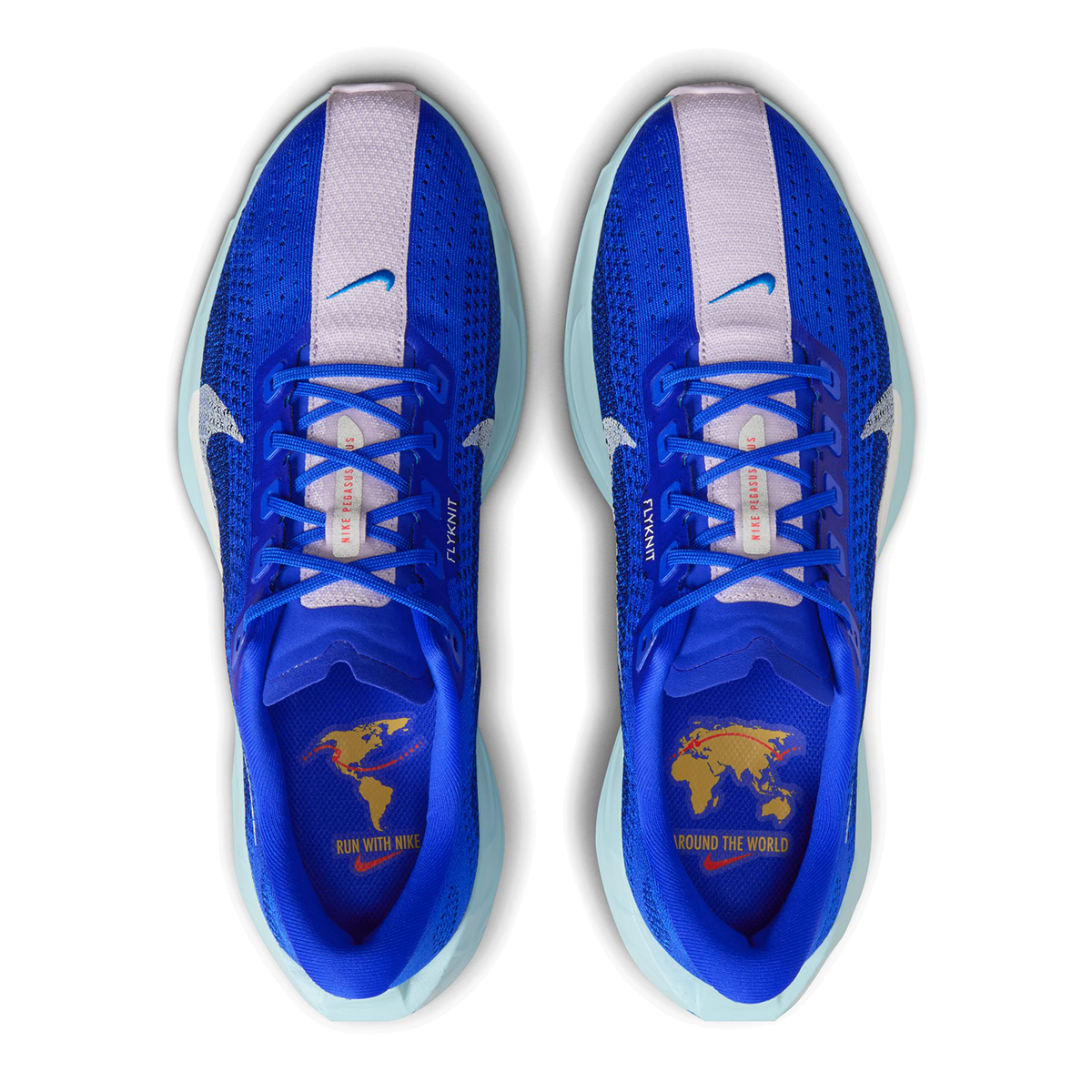 Nike Pegasus Plus CM — Racer Blue - Sail - Blue Void - Doll - Ocean Bliss - Lt Photo Blue — Size D — Width 9 — Back View