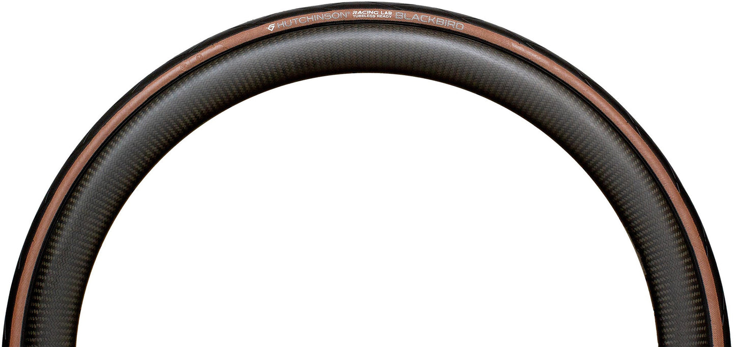 Hutchinson Blackbird Tubeless Ready Road Tyre - Tan