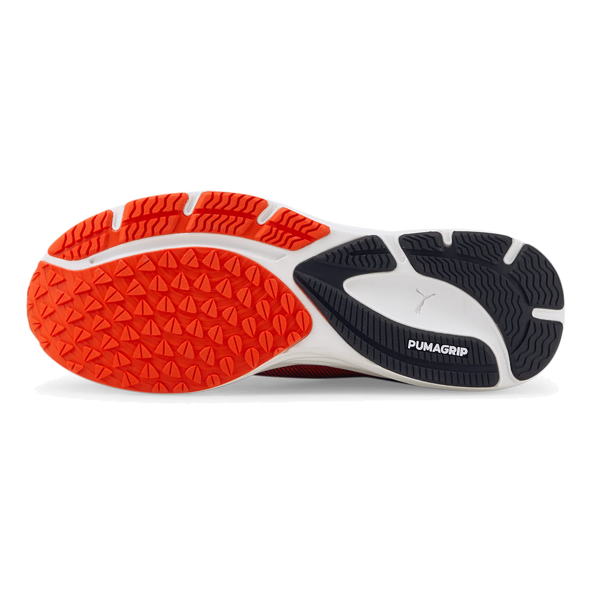 Puma Velocity 2 Nitro — Fizzy Light - Nitro Blue — Size D — Width 8 — Top View