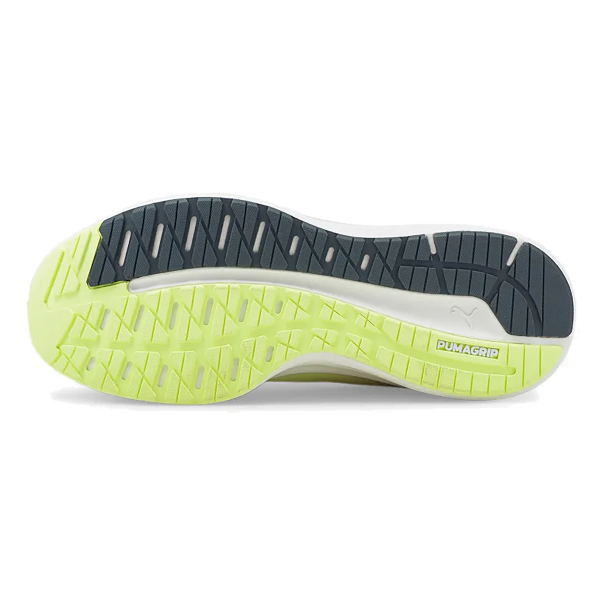 Puma Magnify Nitro — Dark Slate - Nitro Blue - Fizzy Light — Size D — Width 8 — Top View